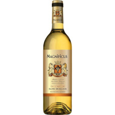 Вино "Magnificus" Blanc Moelleux